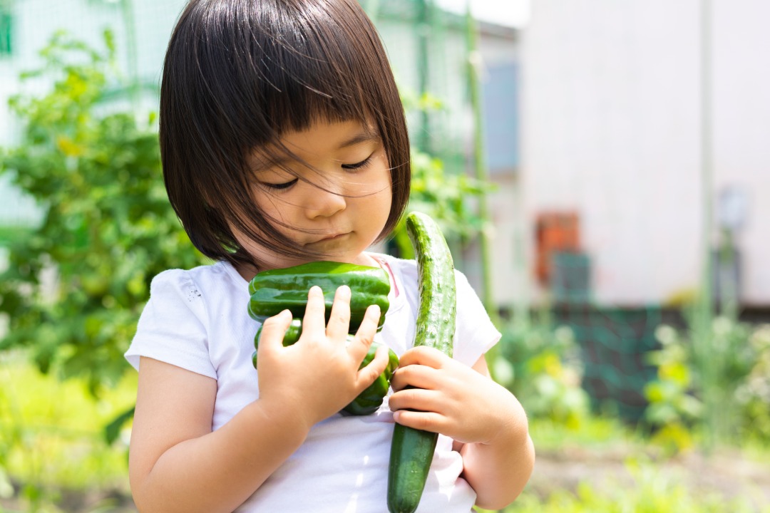 成長期の子どもに必要な栄養素の目安量